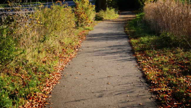 Ens kriterier for vedligehold af stier i hele kommunen